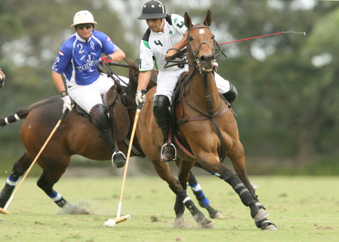 the polo magazine polo photos alex pacheco valiente-villadellago 2