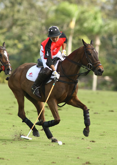 alex pacheco polo ph 1