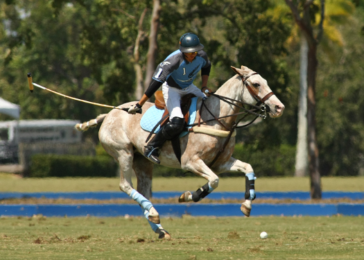 alex pacheco polo magazine Polo site polo 2013 polo time polo team polo online polo.com international polo club polo usa polo wellington florida. 1