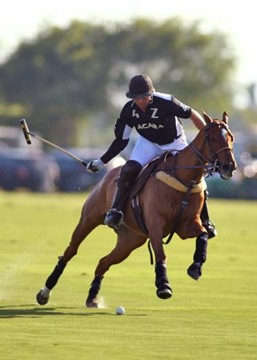 zacara coca polo teams polo gold cup ipc polo clu 6