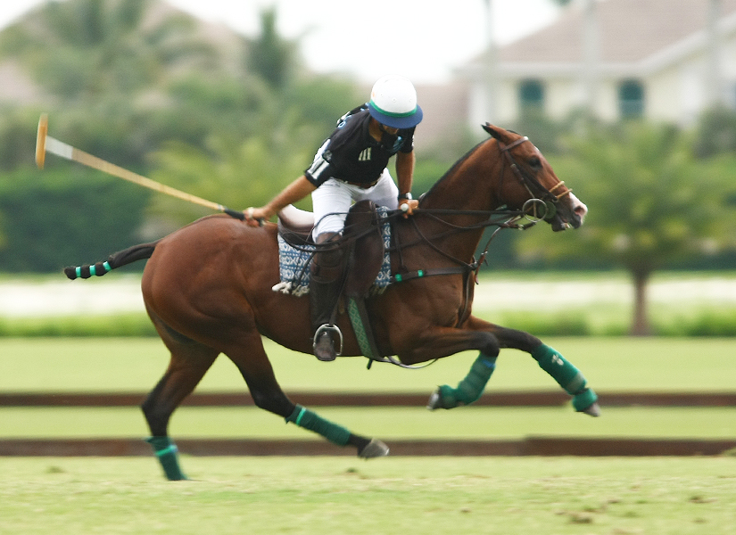 POLO USPA Sun Cup-photos by Alex Pacheco 12