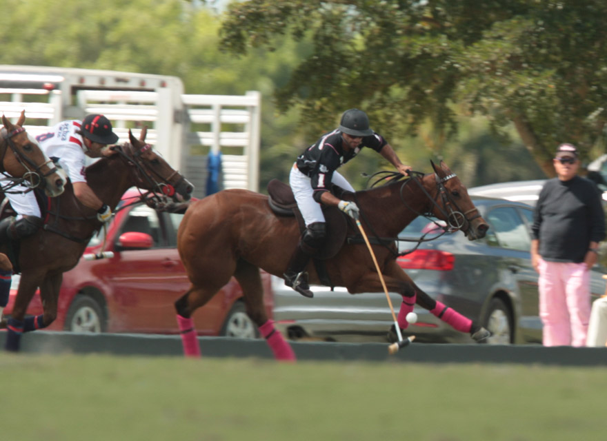 lechuza 3 polomagazine.jpg