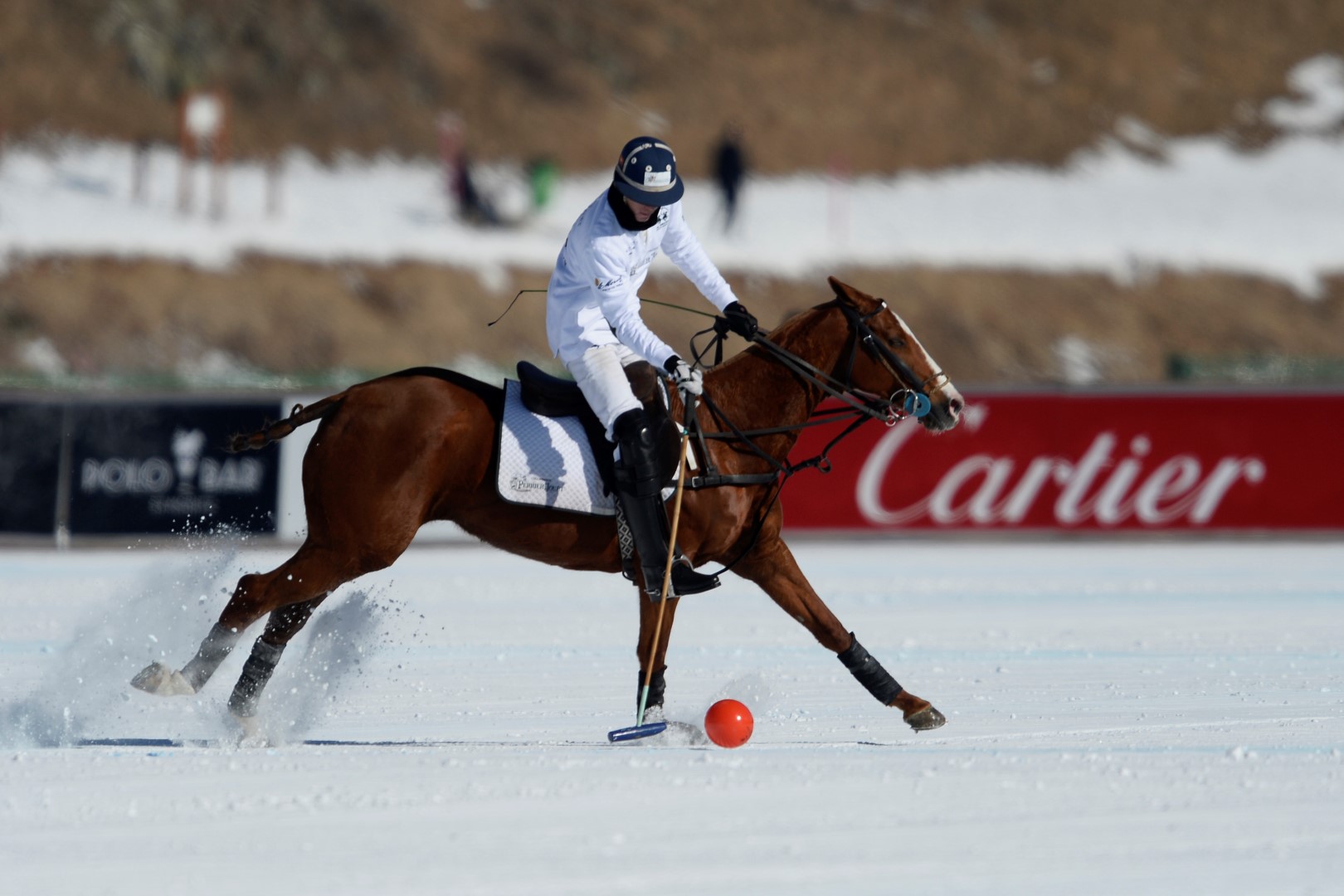 27 01 17-0130 32176808870 o