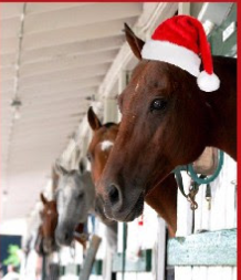 Holiday lesson gift packs!