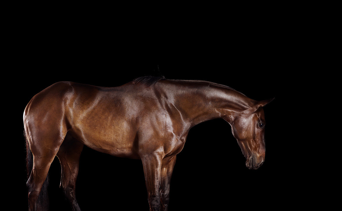 unnamed89