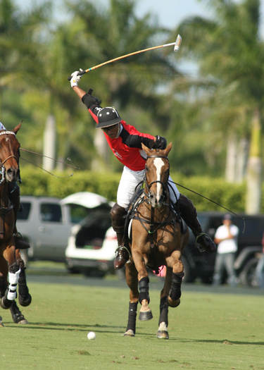 alexpacheco polomag 3