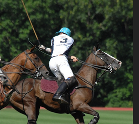 Police Polo Team gallop into quarter finals